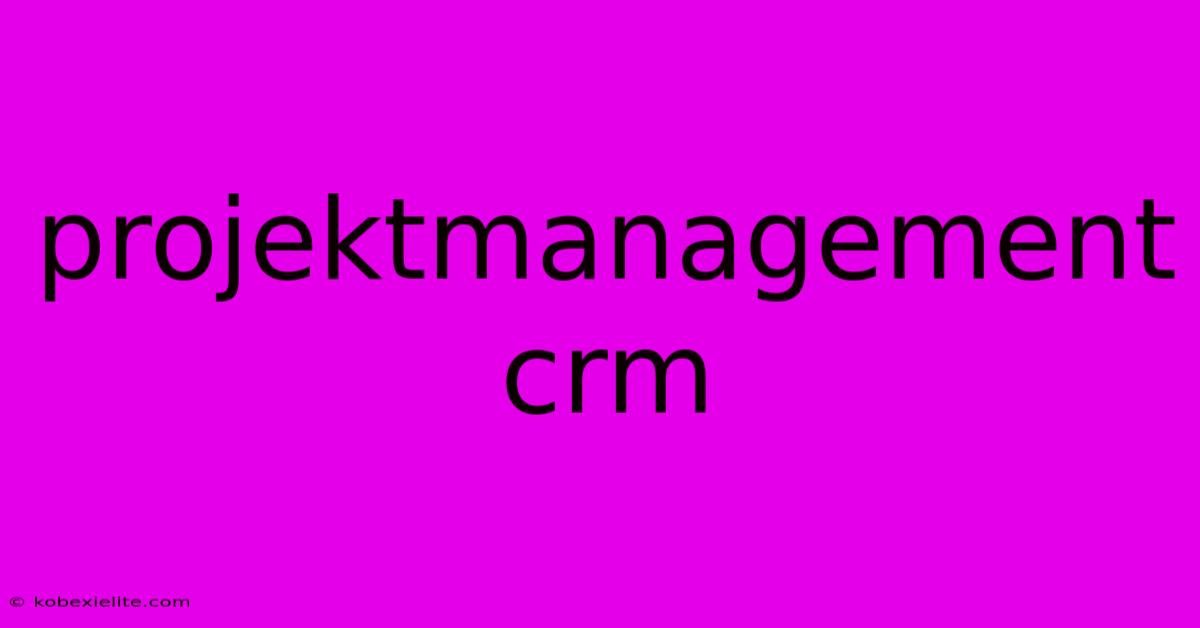 Projektmanagement Crm