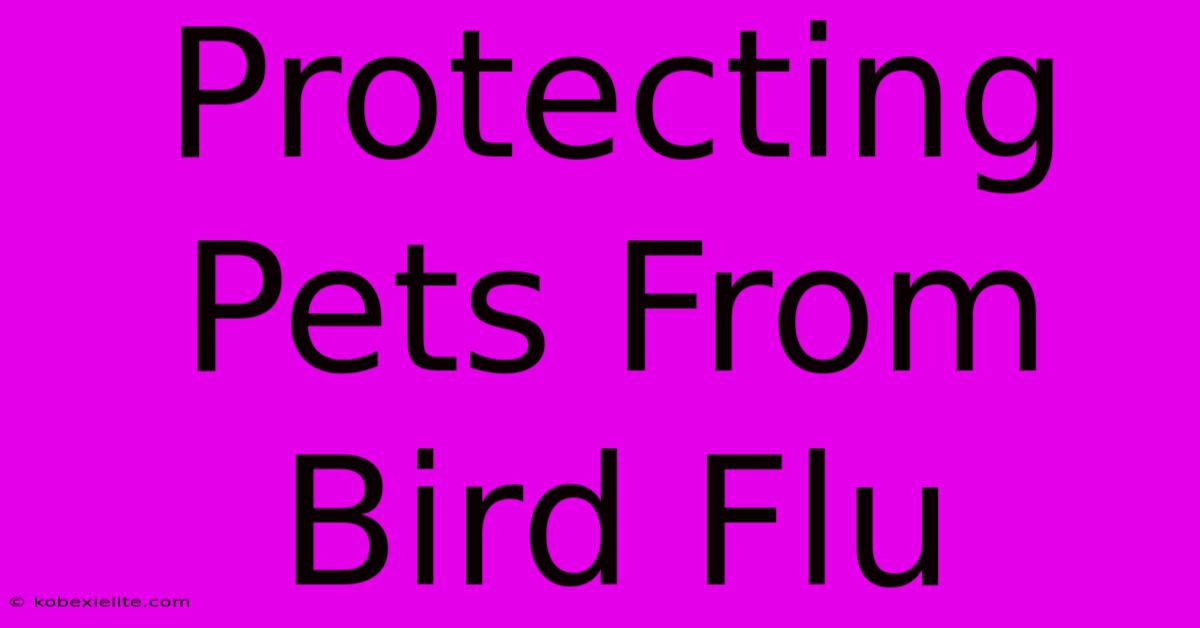 Protecting Pets From Bird Flu