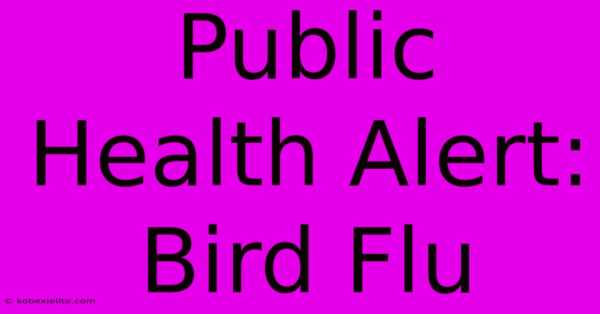 Public Health Alert: Bird Flu