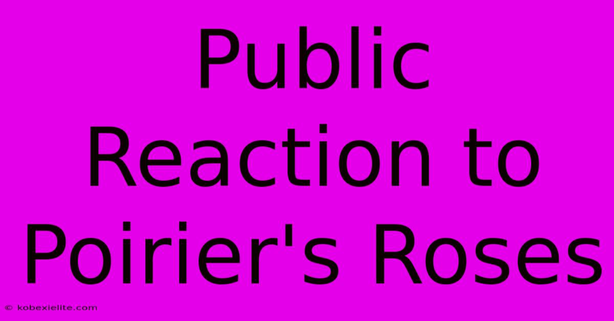 Public Reaction To Poirier's Roses