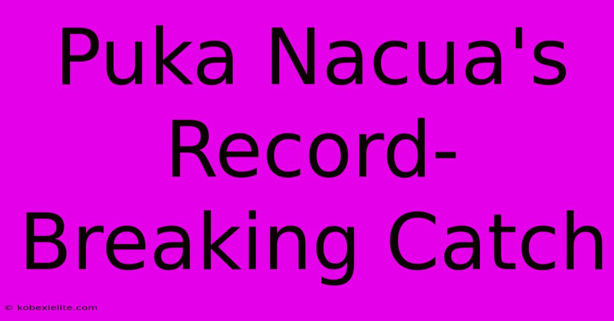 Puka Nacua's Record-Breaking Catch