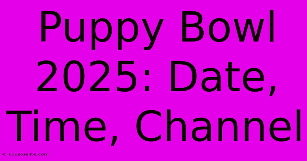 Puppy Bowl 2025: Date, Time, Channel