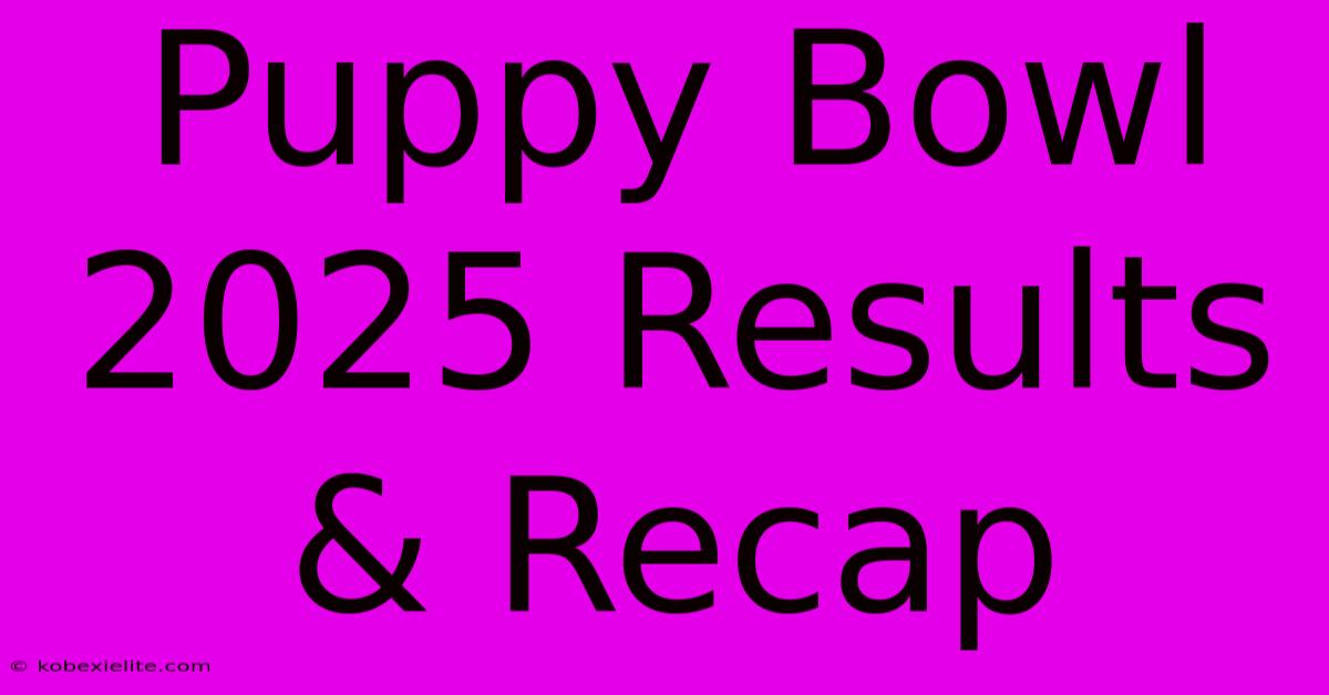 Puppy Bowl 2025 Results & Recap