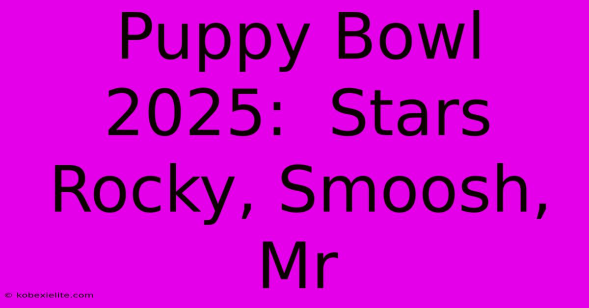 Puppy Bowl 2025:  Stars Rocky, Smoosh, Mr