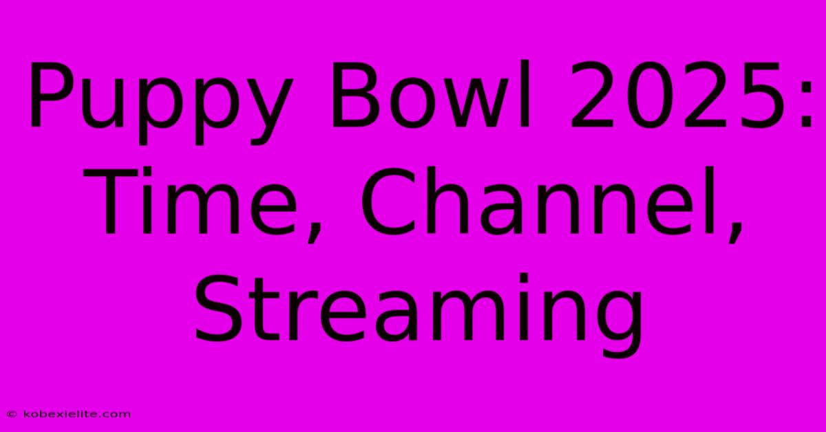 Puppy Bowl 2025: Time, Channel, Streaming