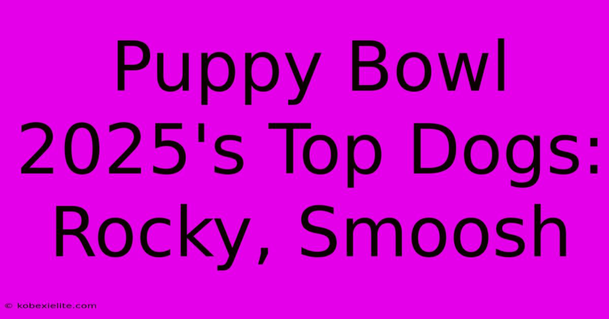 Puppy Bowl 2025's Top Dogs: Rocky, Smoosh