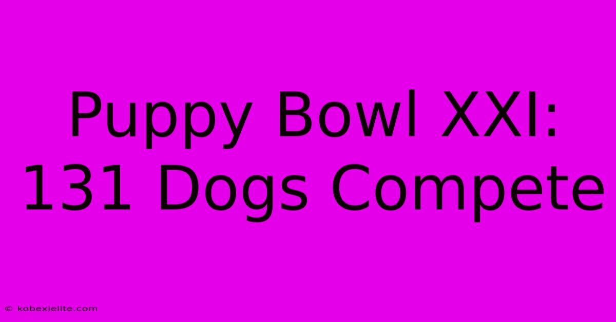 Puppy Bowl XXI: 131 Dogs Compete