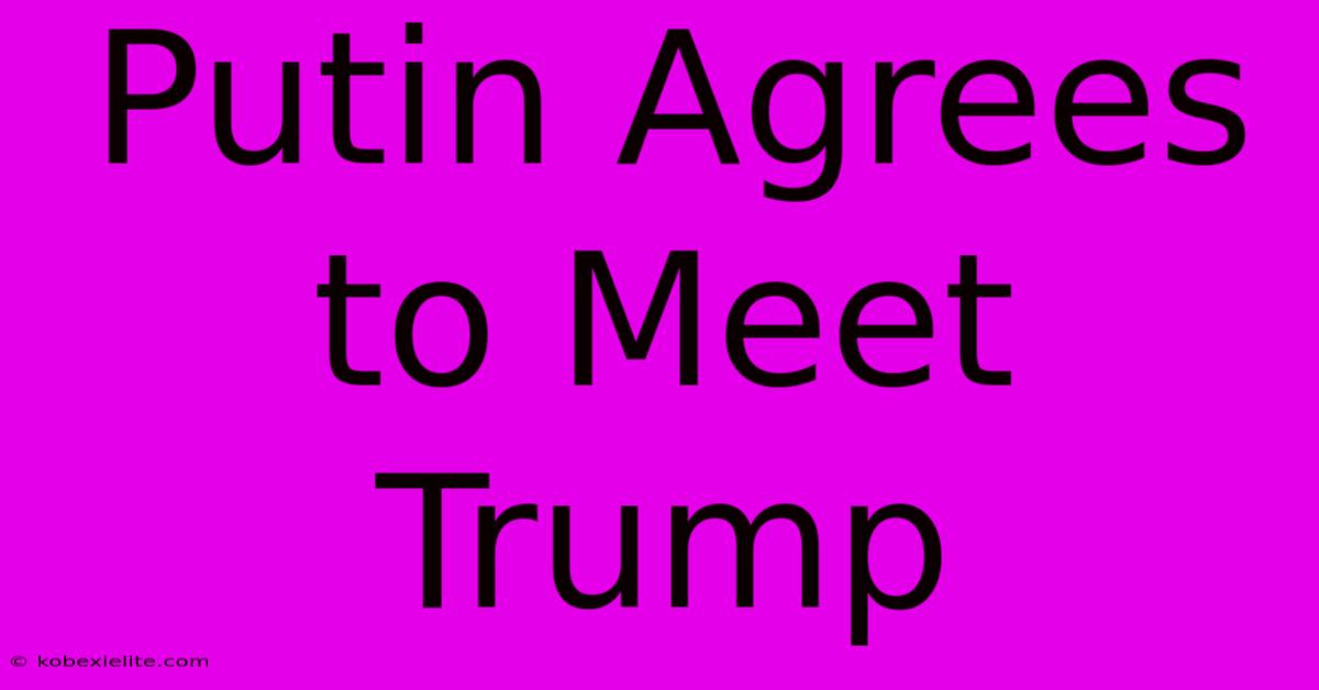 Putin Agrees To Meet Trump