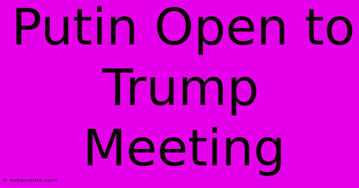 Putin Open To Trump Meeting