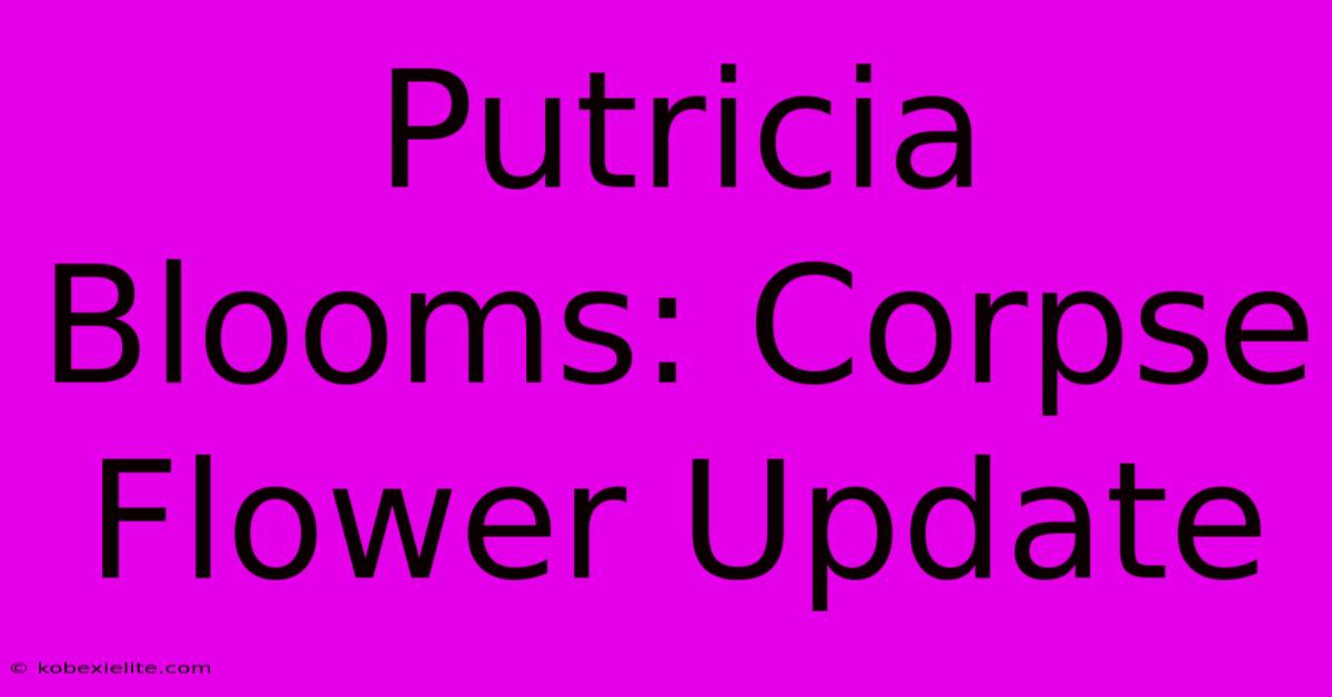 Putricia Blooms: Corpse Flower Update