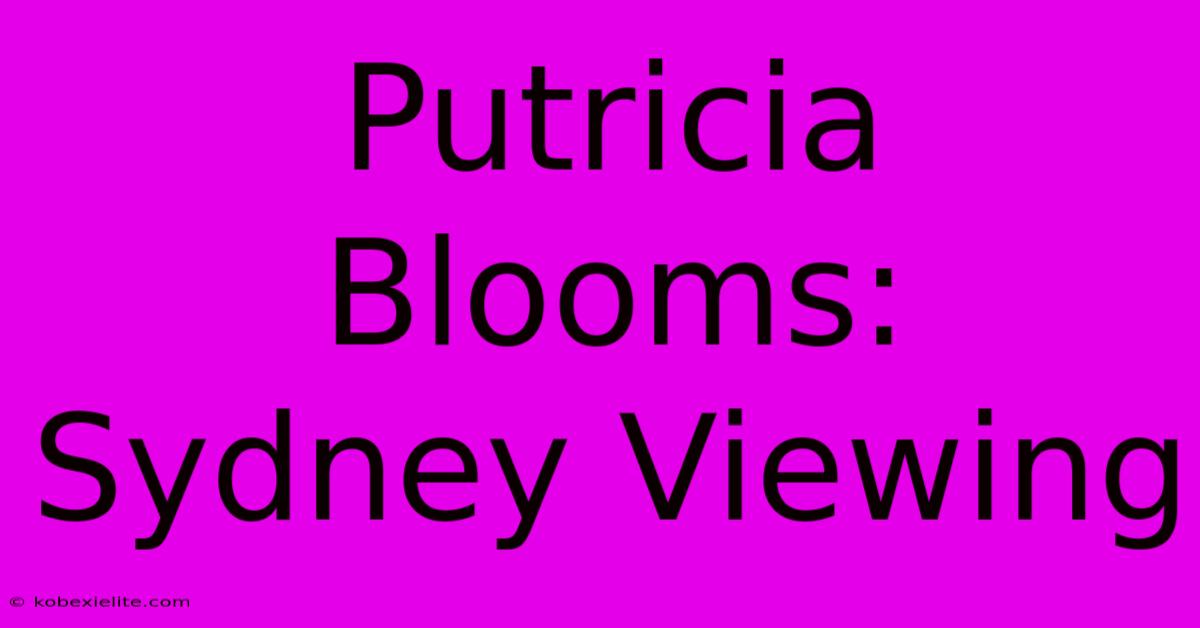 Putricia Blooms: Sydney Viewing