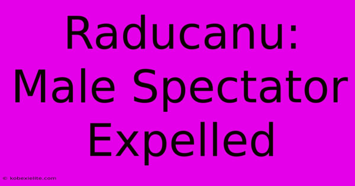 Raducanu: Male Spectator Expelled