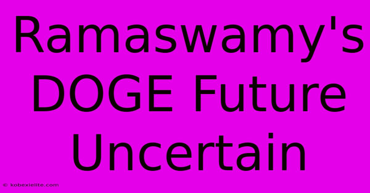 Ramaswamy's DOGE Future Uncertain