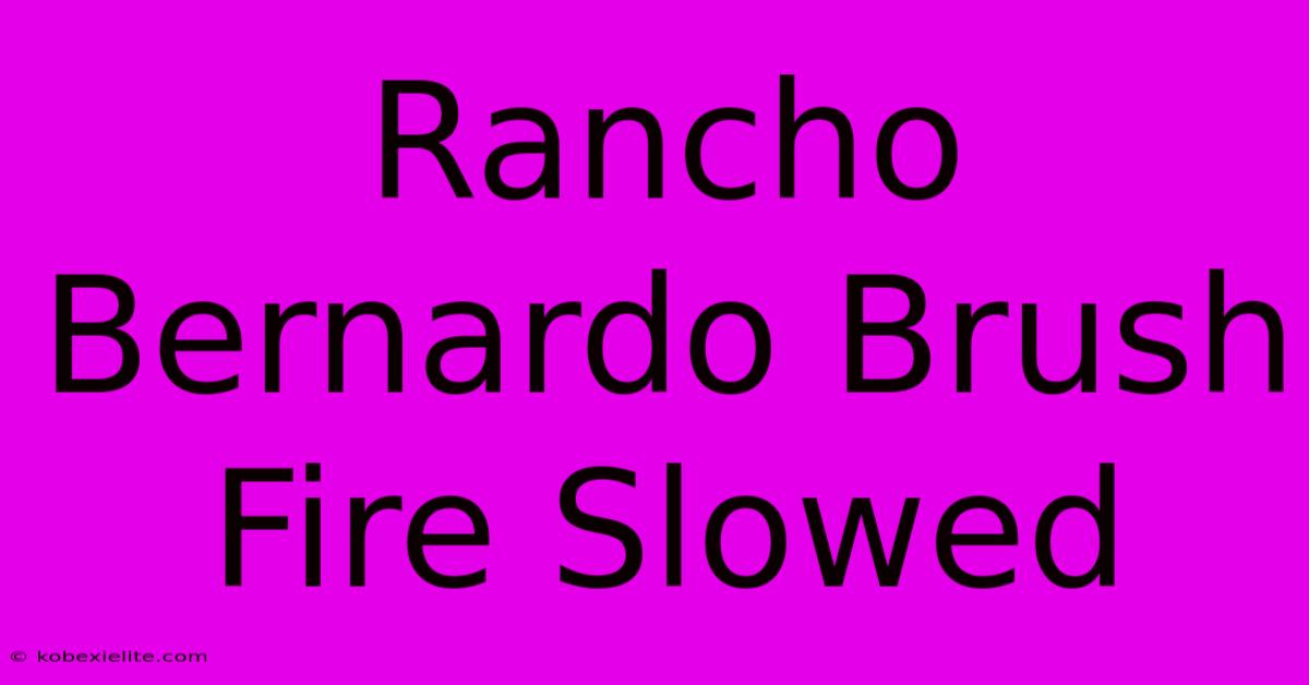 Rancho Bernardo Brush Fire Slowed