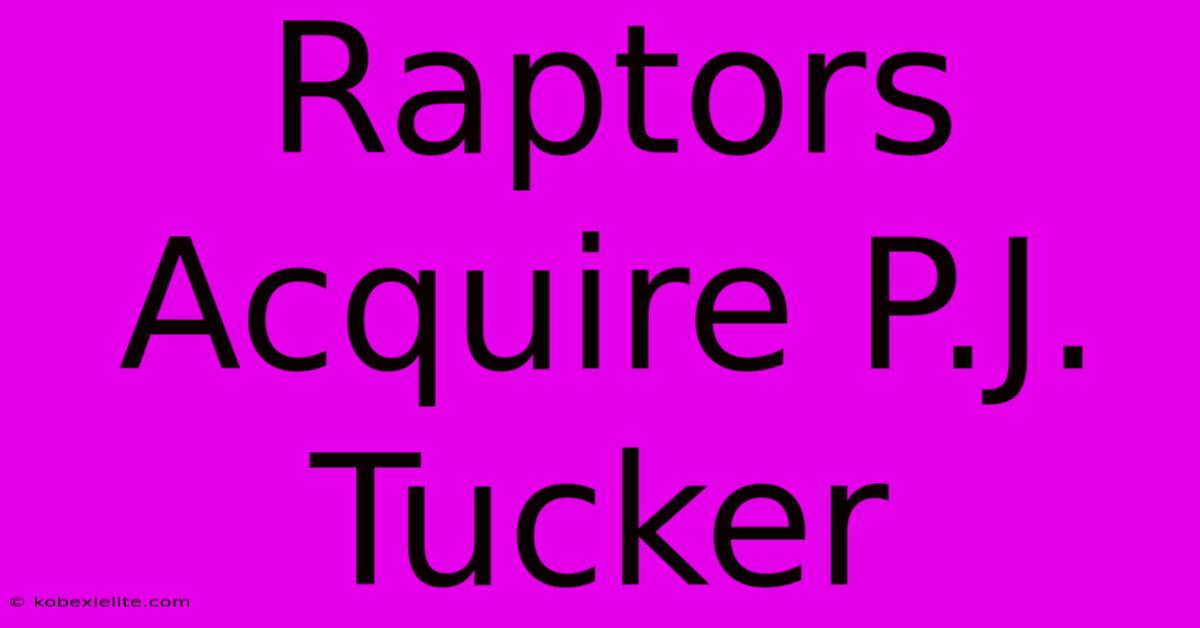 Raptors Acquire P.J. Tucker