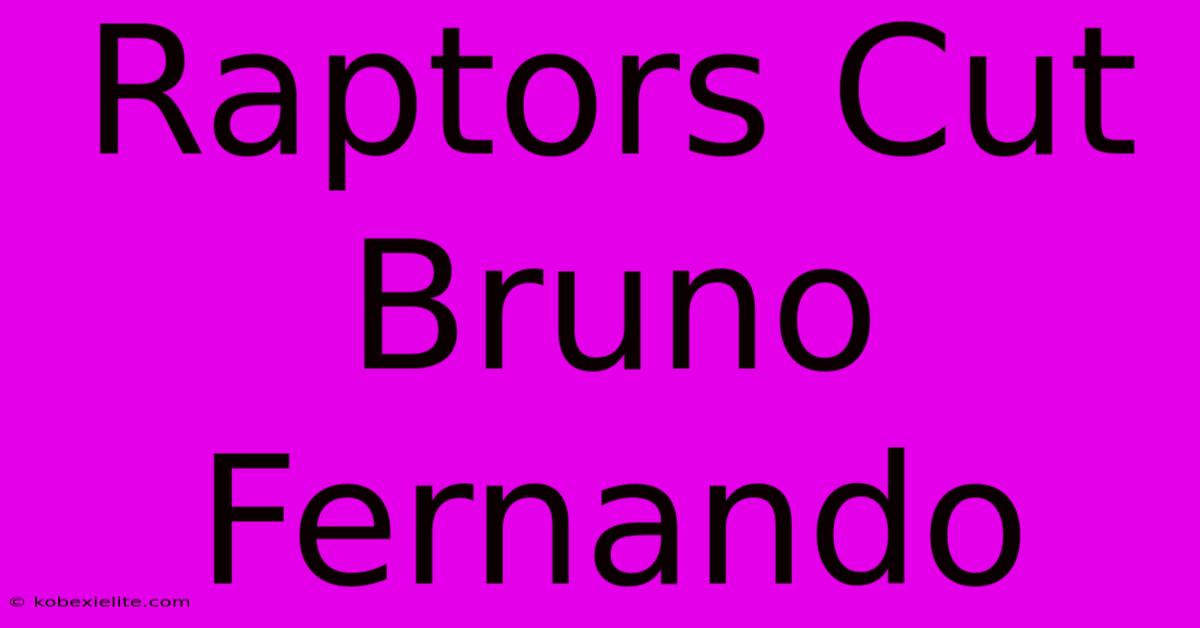 Raptors Cut Bruno Fernando