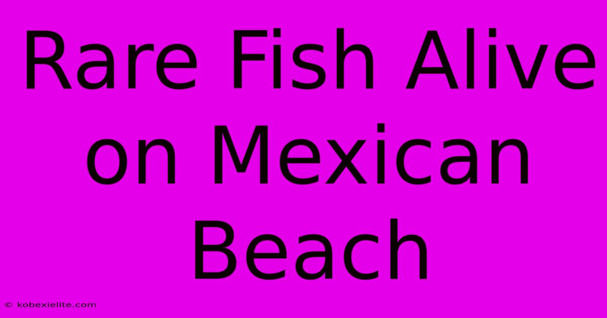 Rare Fish Alive On Mexican Beach