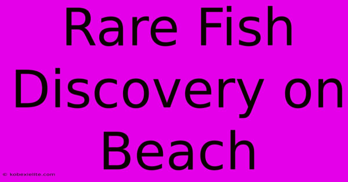 Rare Fish Discovery On Beach