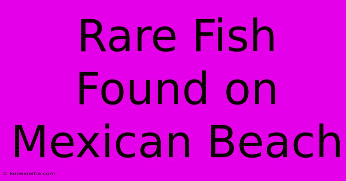 Rare Fish Found On Mexican Beach