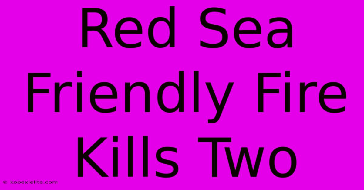 Red Sea Friendly Fire Kills Two