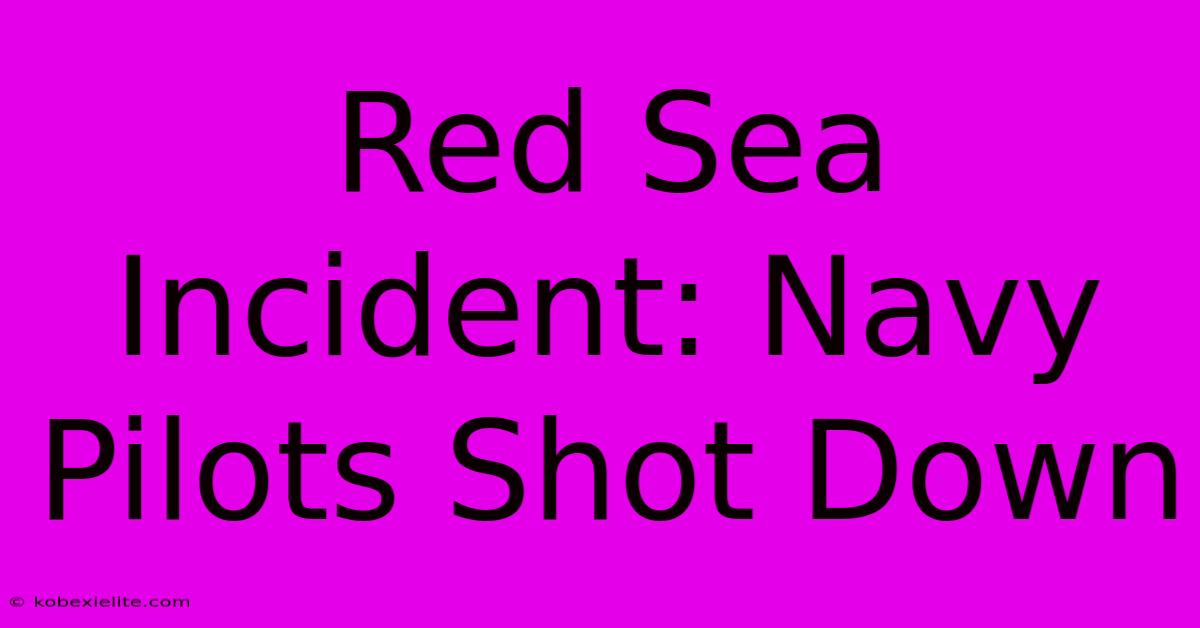 Red Sea Incident: Navy Pilots Shot Down