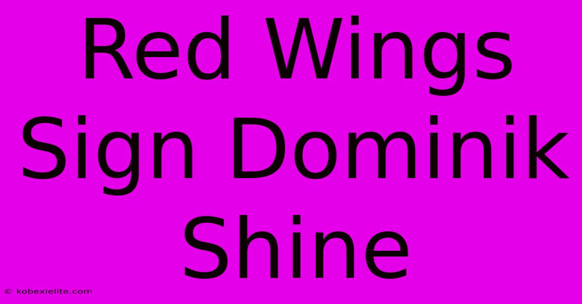 Red Wings Sign Dominik Shine