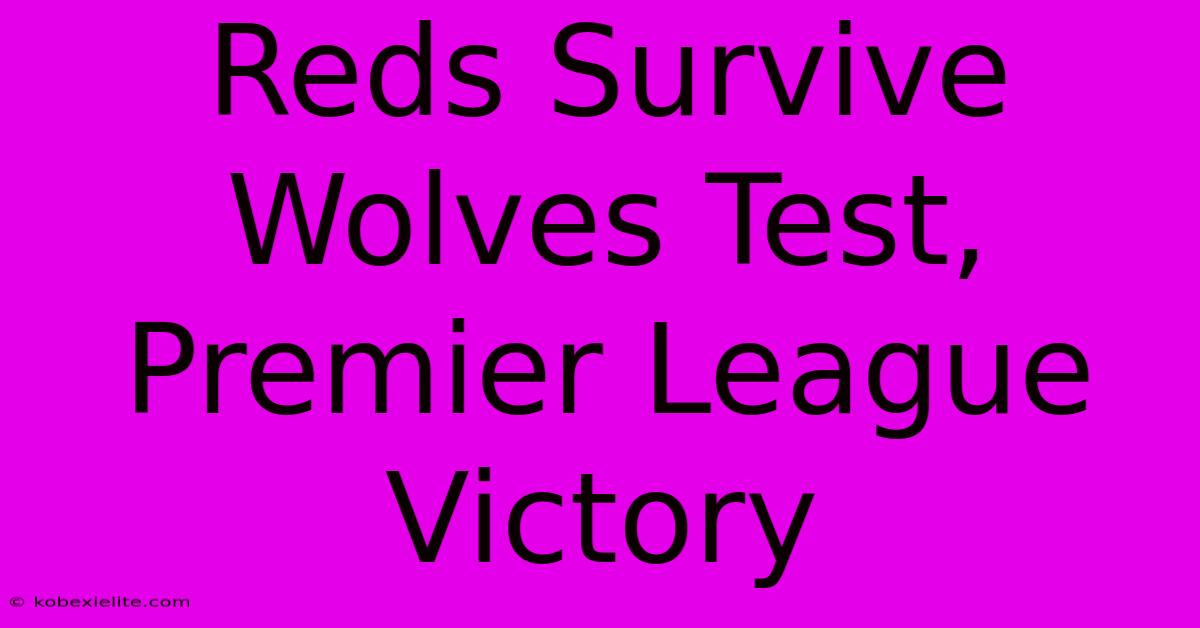 Reds Survive Wolves Test, Premier League Victory