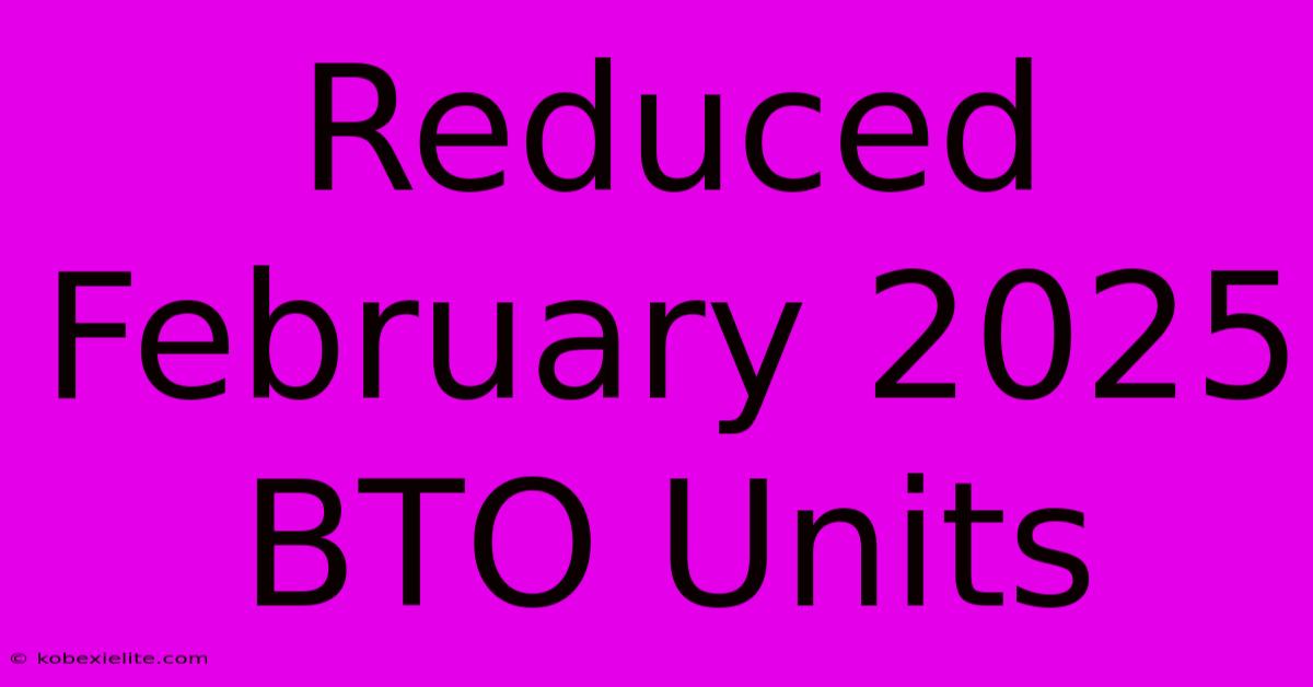 Reduced February 2025 BTO Units