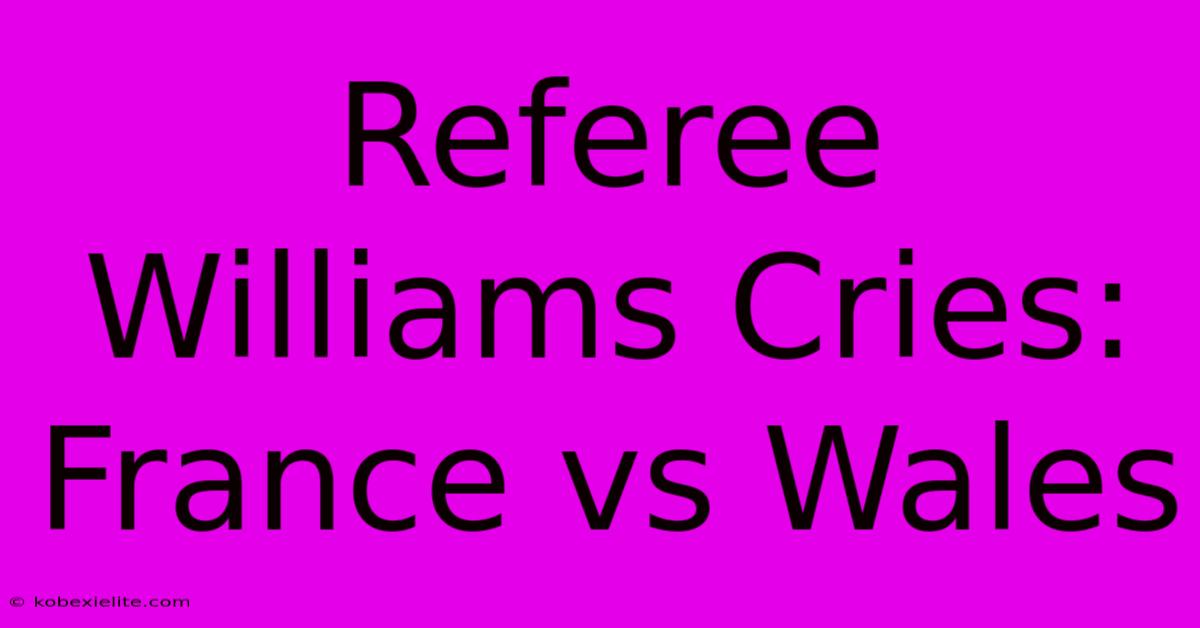 Referee Williams Cries: France Vs Wales