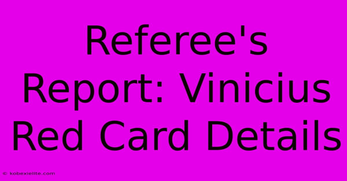 Referee's Report: Vinicius Red Card Details