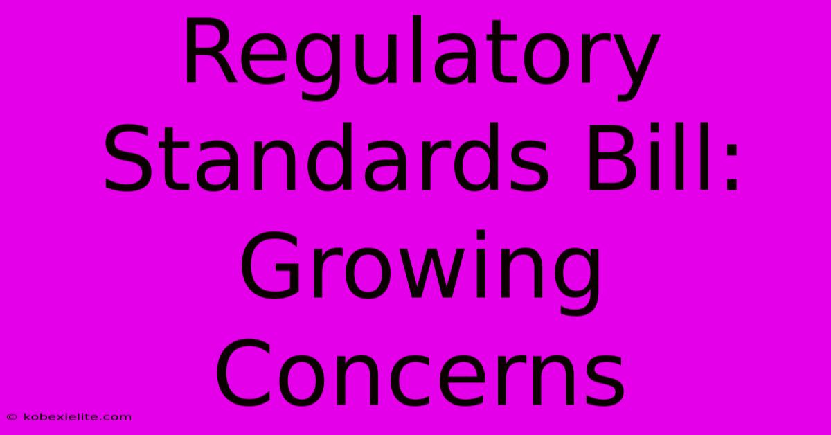 Regulatory Standards Bill: Growing Concerns