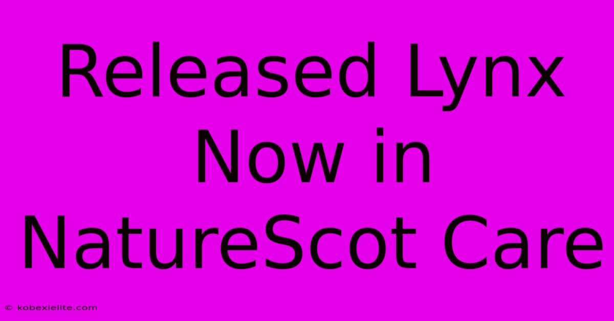 Released Lynx Now In NatureScot Care