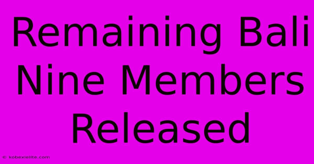 Remaining Bali Nine Members Released Remaining Bali Nine Members Released