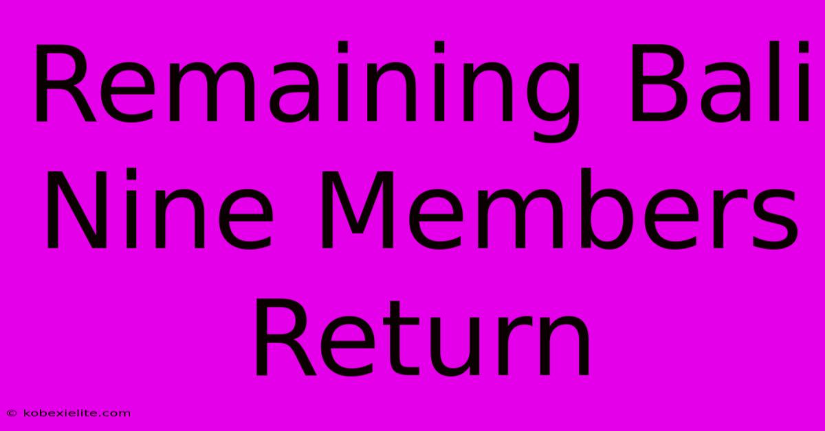 Remaining Bali Nine Members Return Remaining Bali Nine Members Return