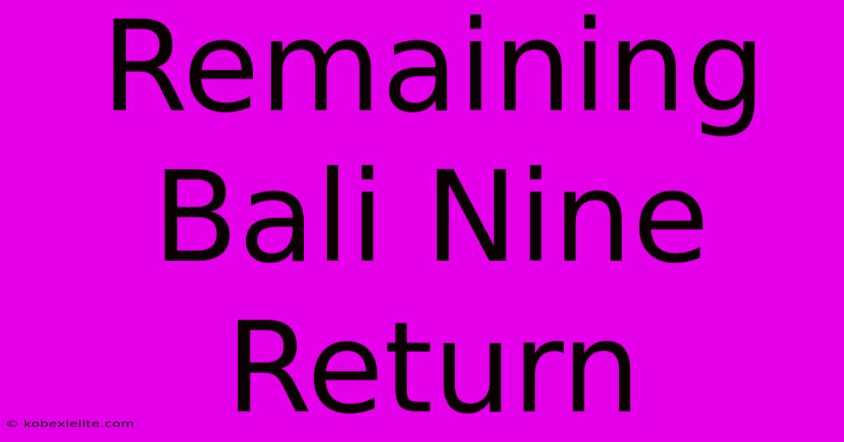 Remaining Bali Nine Return Remaining Bali Nine Return