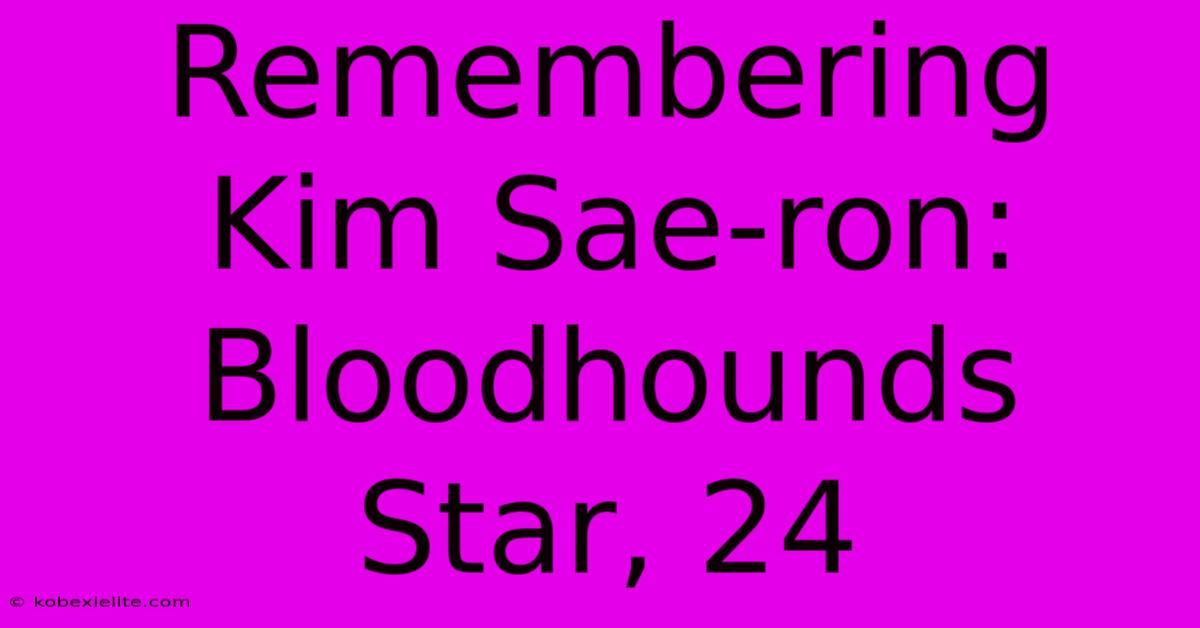 Remembering Kim Sae-ron: Bloodhounds Star, 24