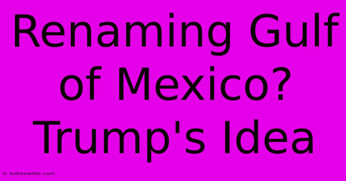 Renaming Gulf Of Mexico? Trump's Idea