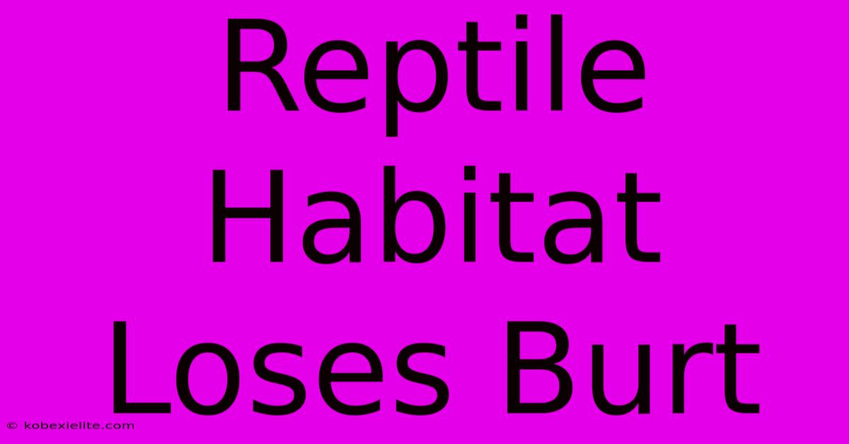 Reptile Habitat Loses Burt