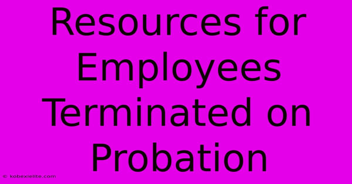 Resources For Employees Terminated On Probation