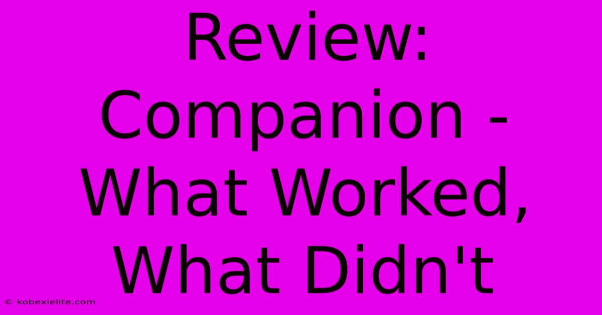 Review: Companion - What Worked, What Didn't