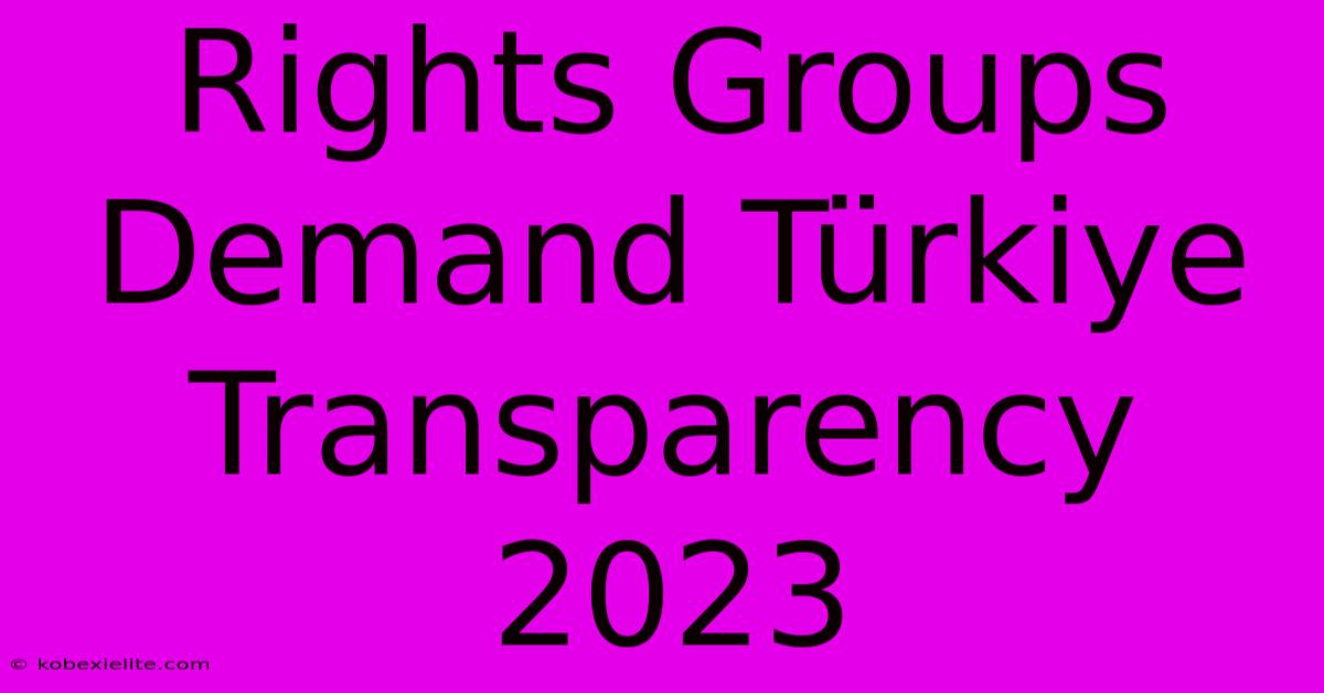 Rights Groups Demand Türkiye Transparency 2023 Rights Groups Demand Türkiye Transparency 2023