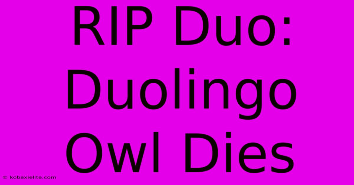 RIP Duo: Duolingo Owl Dies