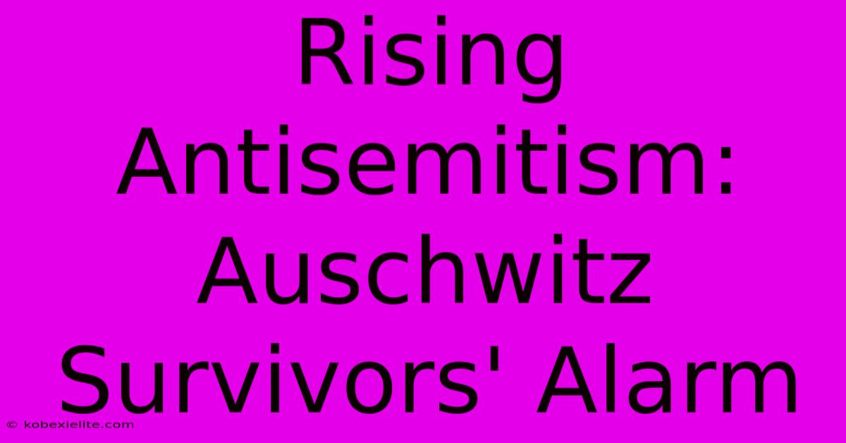 Rising Antisemitism: Auschwitz Survivors' Alarm