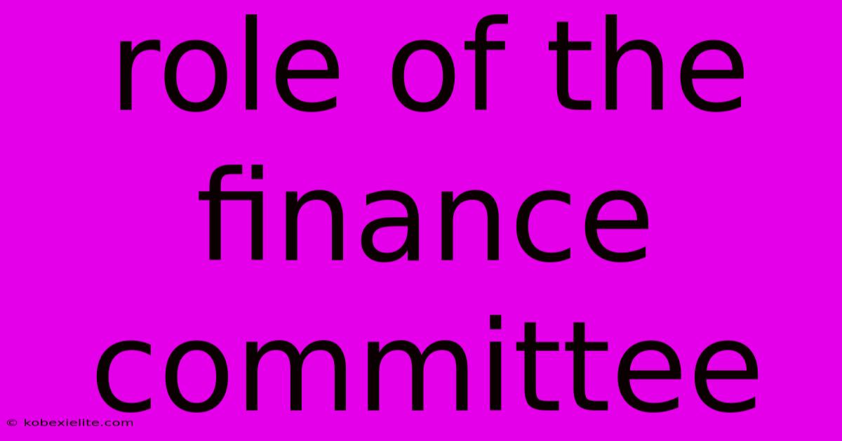 Role Of The Finance Committee Role Of The Finance Committee