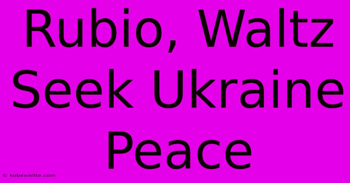 Rubio, Waltz Seek Ukraine Peace