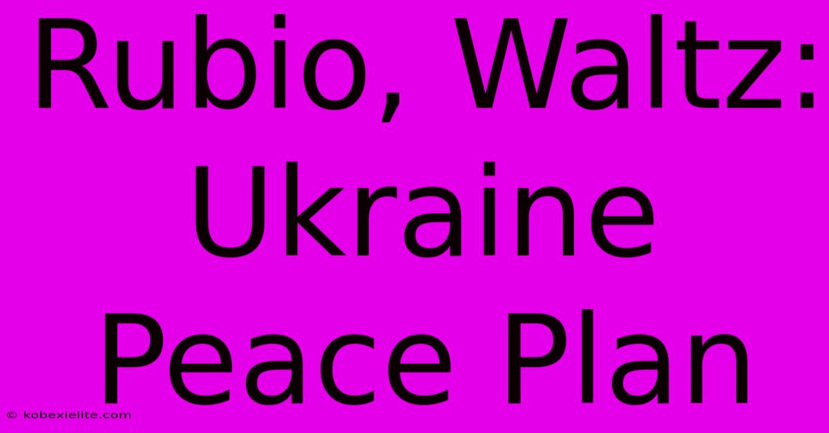 Rubio, Waltz: Ukraine Peace Plan