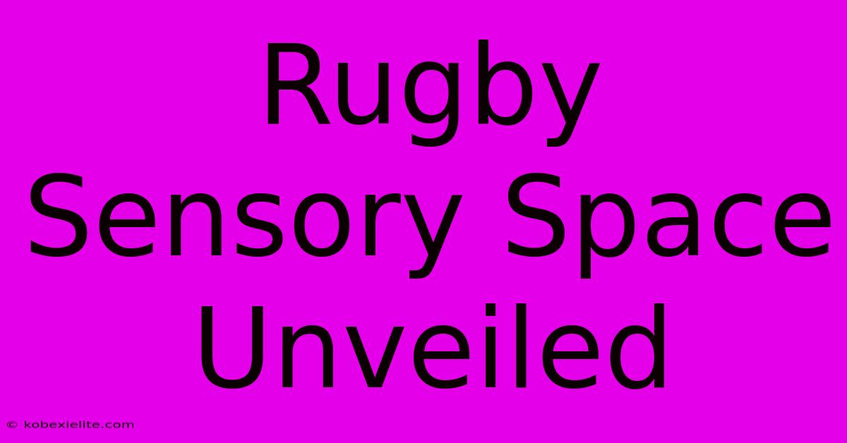 Rugby Sensory Space Unveiled