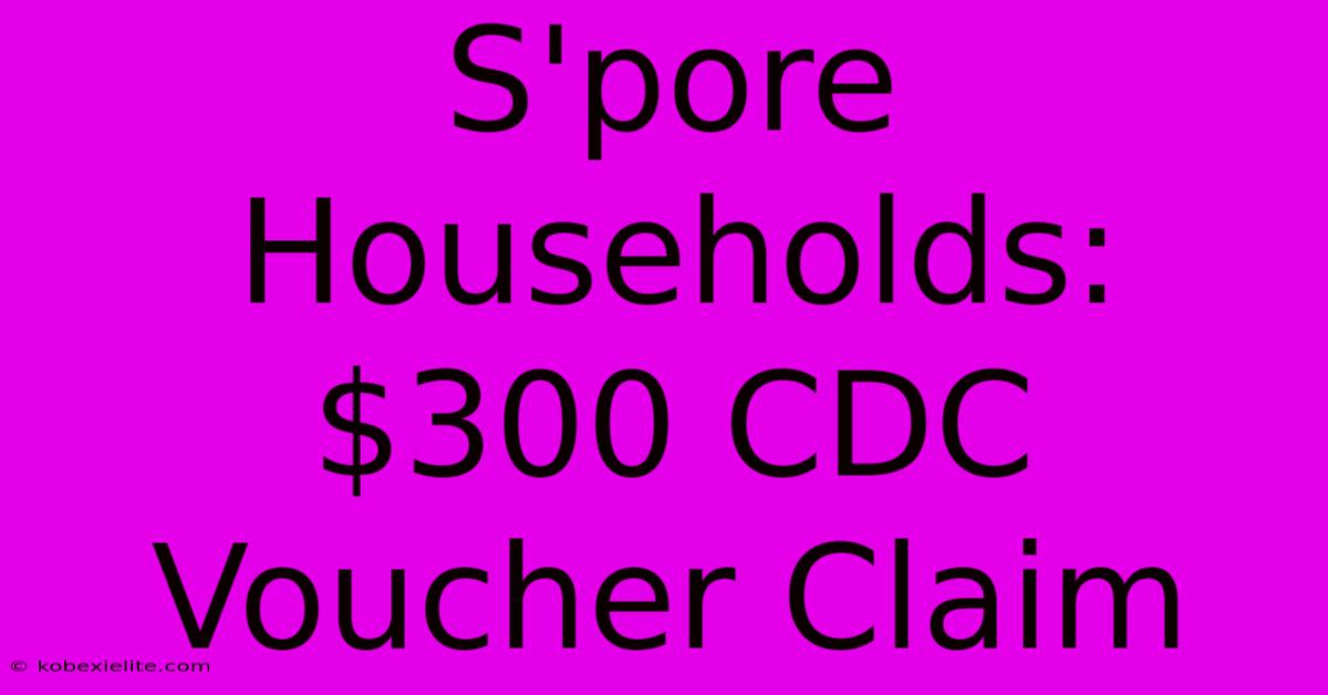 S'pore Households: $300 CDC Voucher Claim