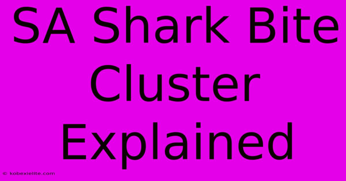 SA Shark Bite Cluster Explained