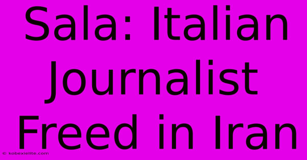 Sala: Italian Journalist Freed In Iran